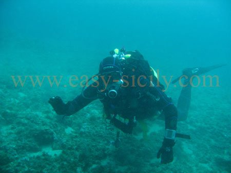 dive1