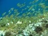 taormina_seabed10