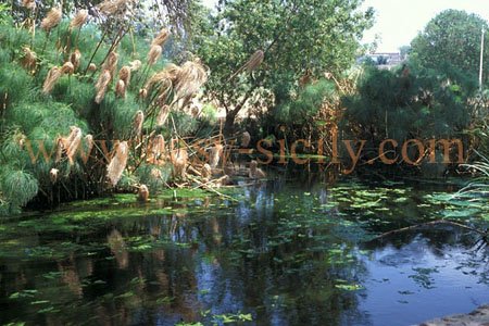 ciane_river