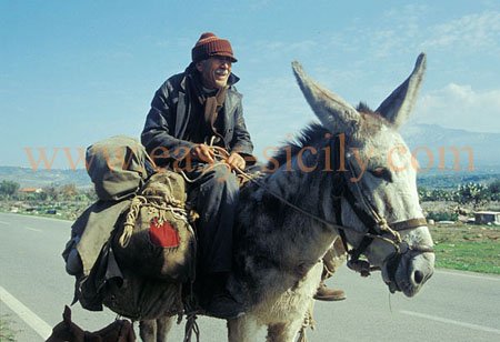 on_a_mule