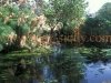ciane_river