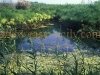ciane_river_2
