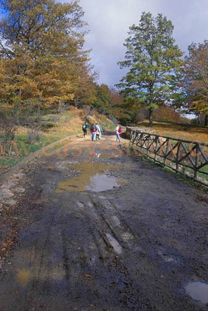 trekking_on_nebrodi_mountains